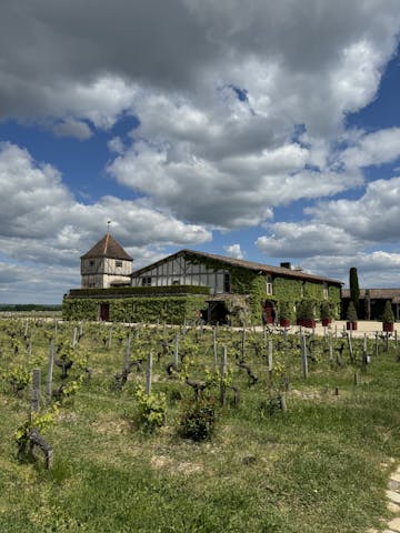 Château Smith Haut Lafitte